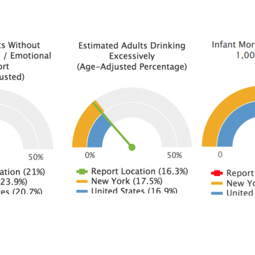 Rochester Region: Social support, alcohol consumption, and infant mortality