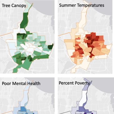 Tree Coverage and Equity in the City of Rochester