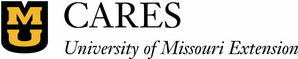 CARES logo