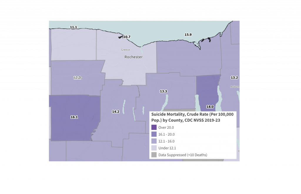 Visit the RocHealthData map room to see more data from the region. 