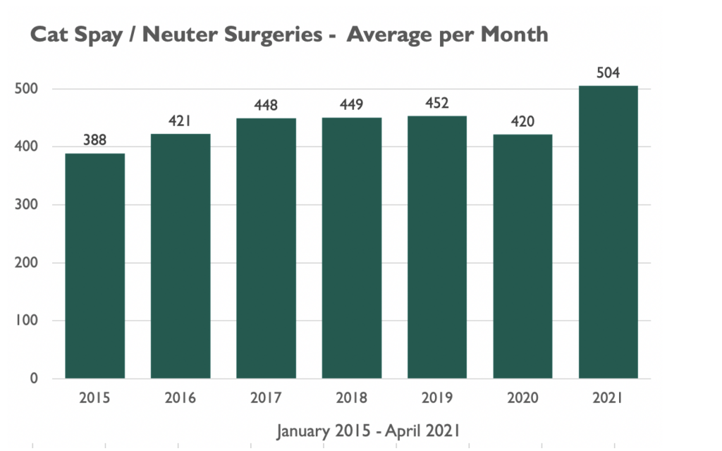Line graph of average monthly spay & neuter surgeries