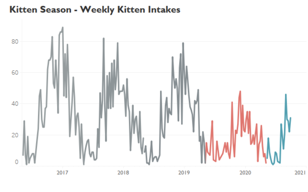 Line graph of weekly kitten intakes